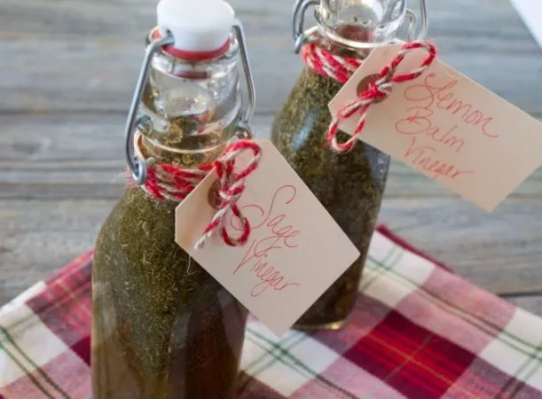Herb infused vinegar