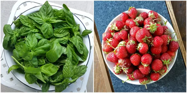 Strawberry Watermelon Caprese Salad is a nourishing, flavorful, summertime salad with fresh from the garden strawberries, watermelon, and basil.