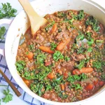 Kale and lentil beef stew in a large serving bowl