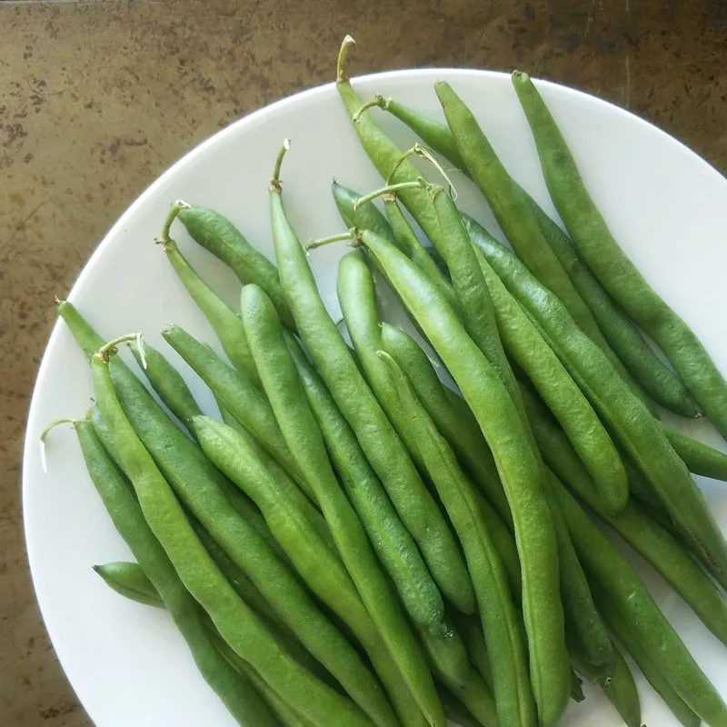 fresh green beans on white plate